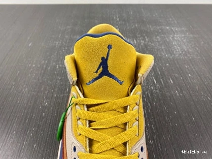 Rep TB Neat 3814 DX6660- Air  Jordan 3 1014